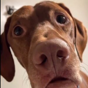 Meet your Posher, Tyrone